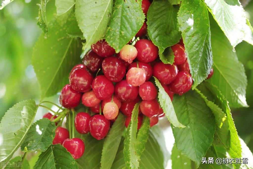 初夏经典诗词有哪些赏析（迎接初夏古诗9首）