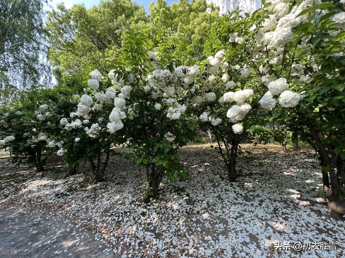 送春经典诗词有哪些（晚春送春古诗七首赏析）