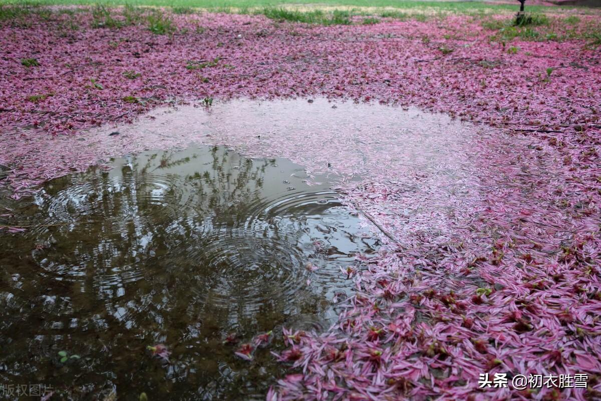 落花经典诗词大全（辛弃疾晚春风雨落花两首）