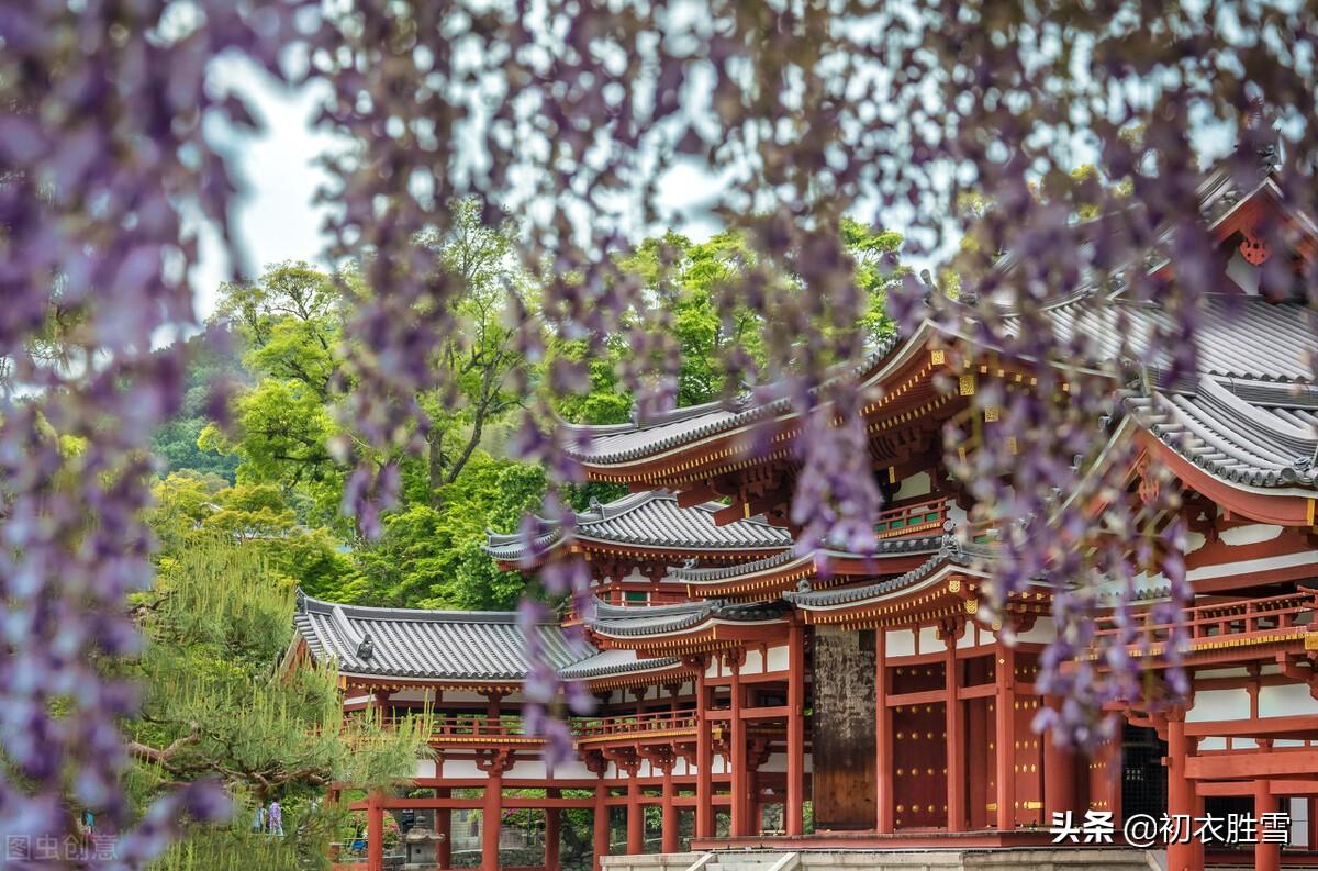 紫藤花唯美古诗大全（紫藤花唯美诗词四首）