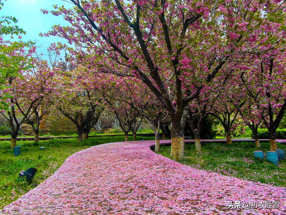 李白唯美古诗精选（李白仙意落花五首）