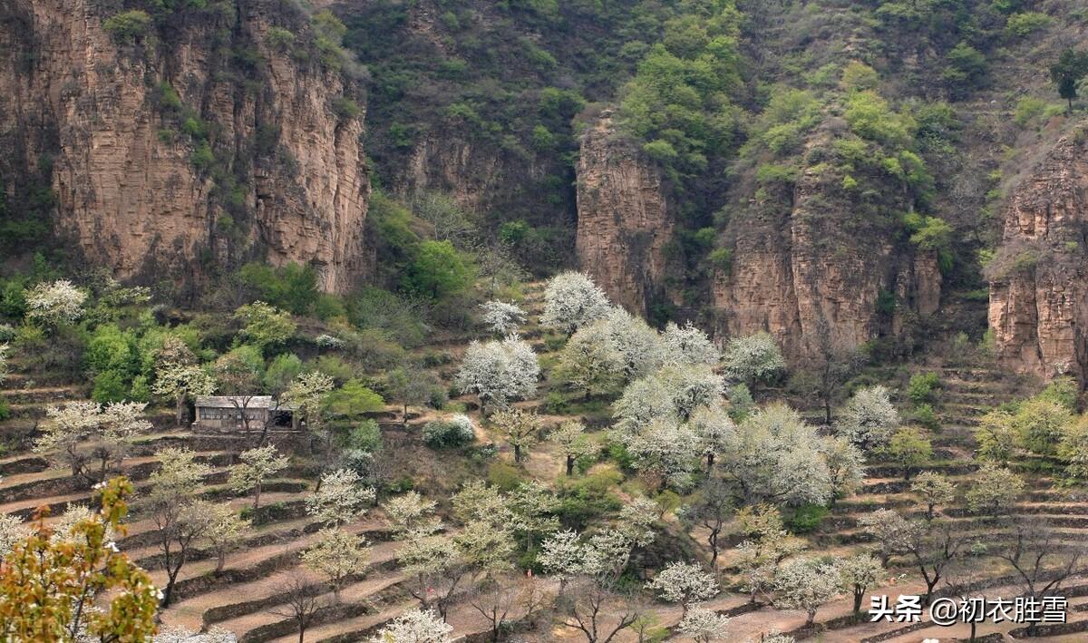 寒食节唯美古诗大全（白居易寒食节六首）