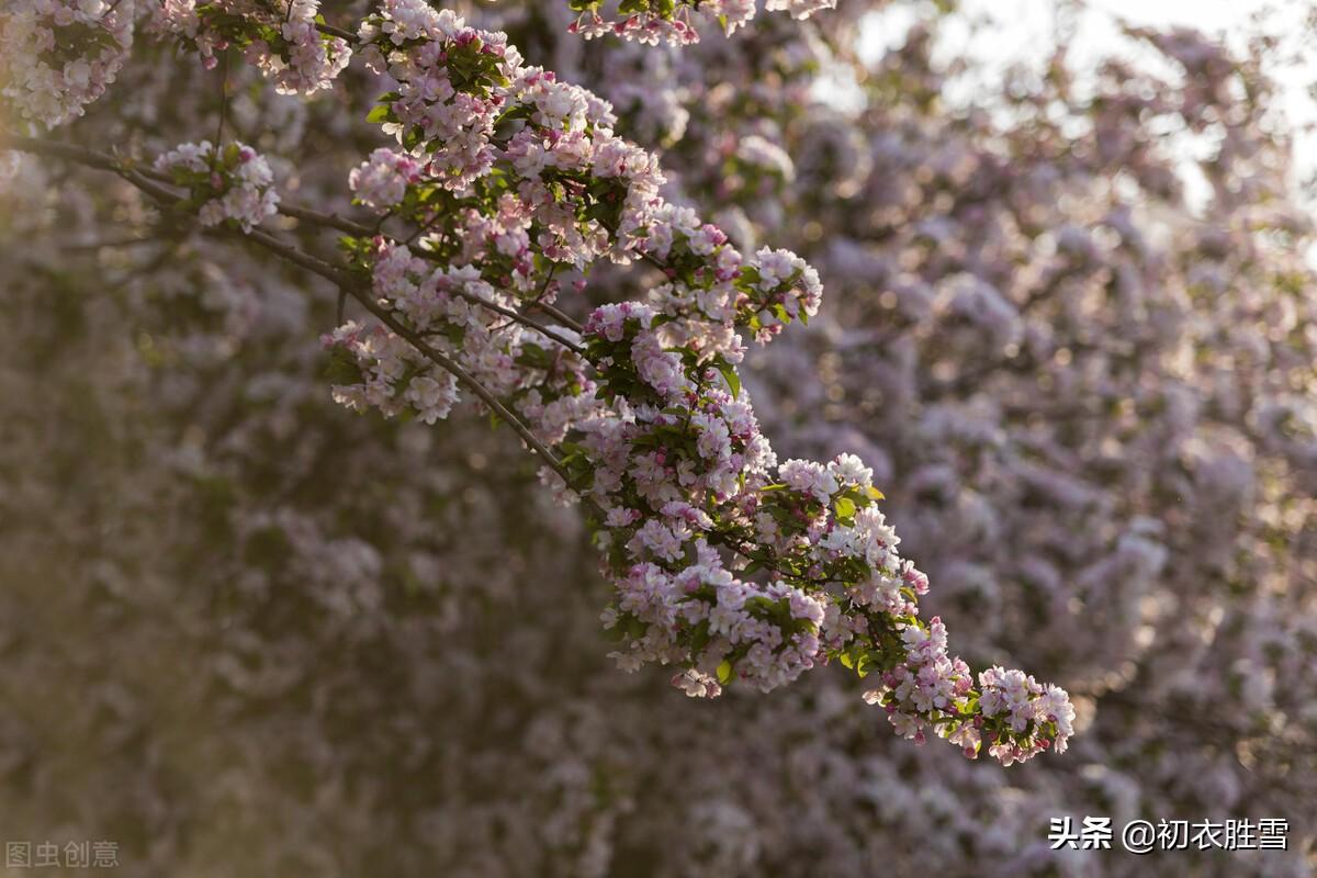 烟花三月唯美古诗六首（三月烟花低草树，烟花三月下扬州）