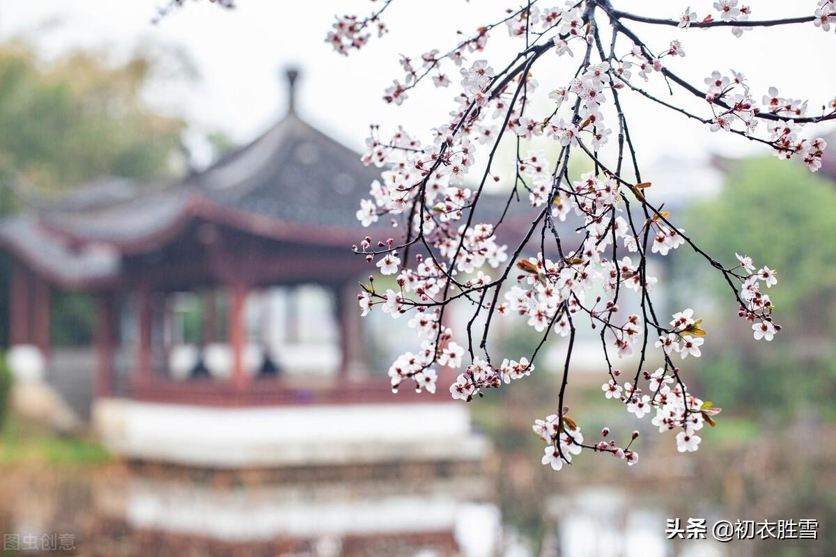 温庭筠春雨情词两首赏读（驿桥春雨时，此情谁得知）