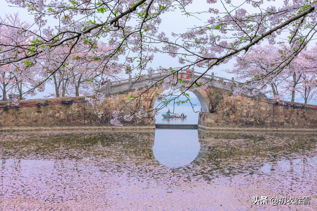 春分樱花古诗词鉴赏（春分节气美诗六首）