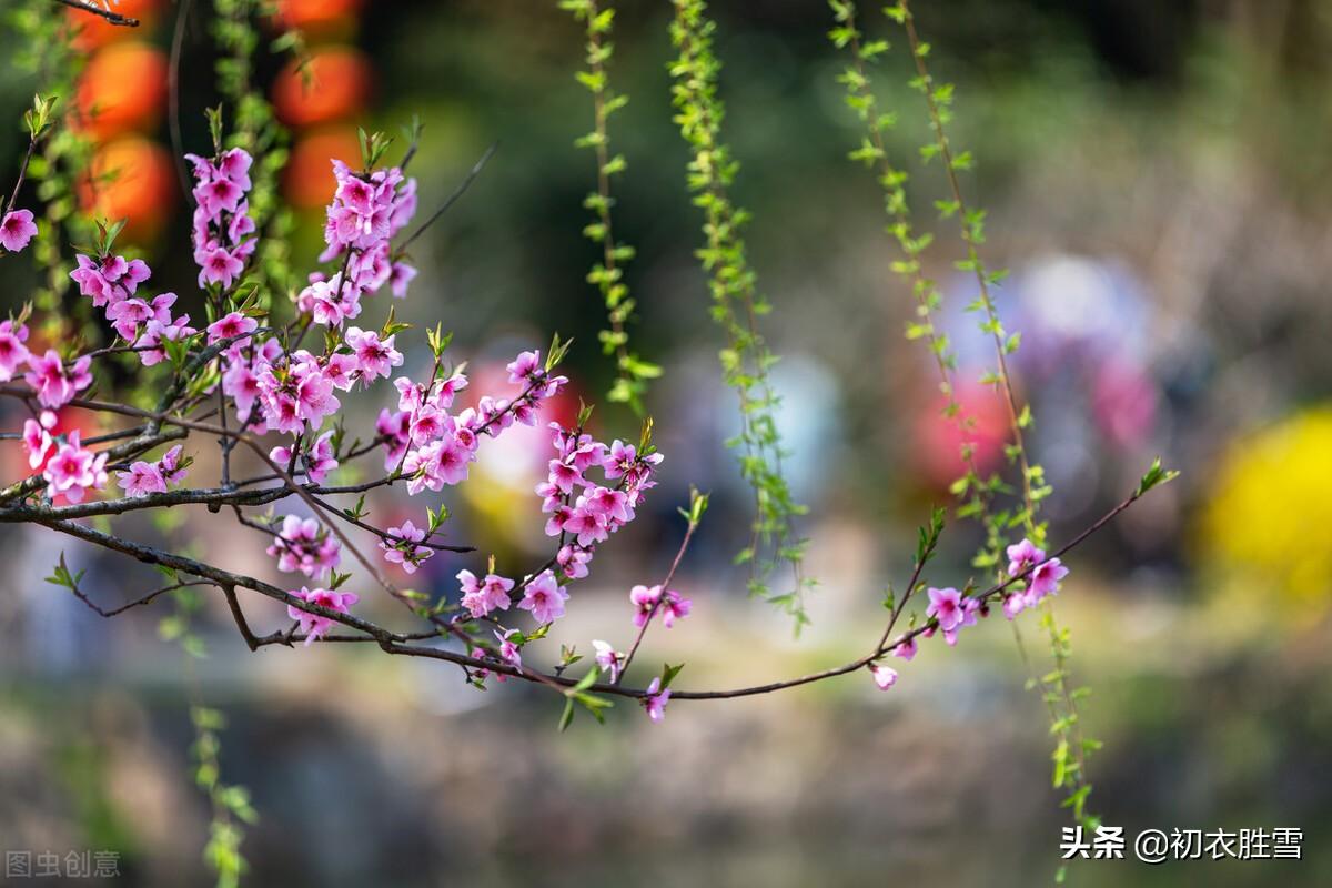 仲春古诗词有哪些（​仲春春半美诗五首）