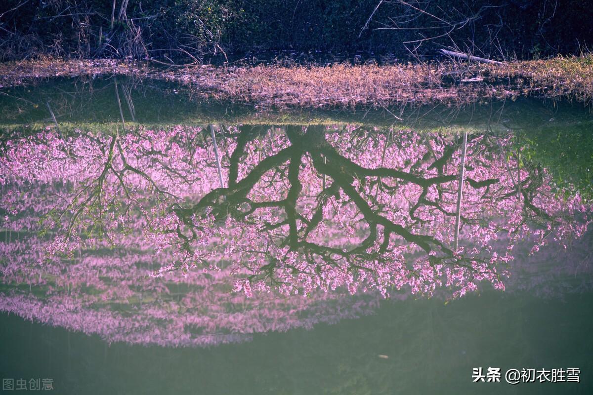 仲春春雨桃花诗词五首（二月桃花春雨里，夹岸桃花蘸水开）