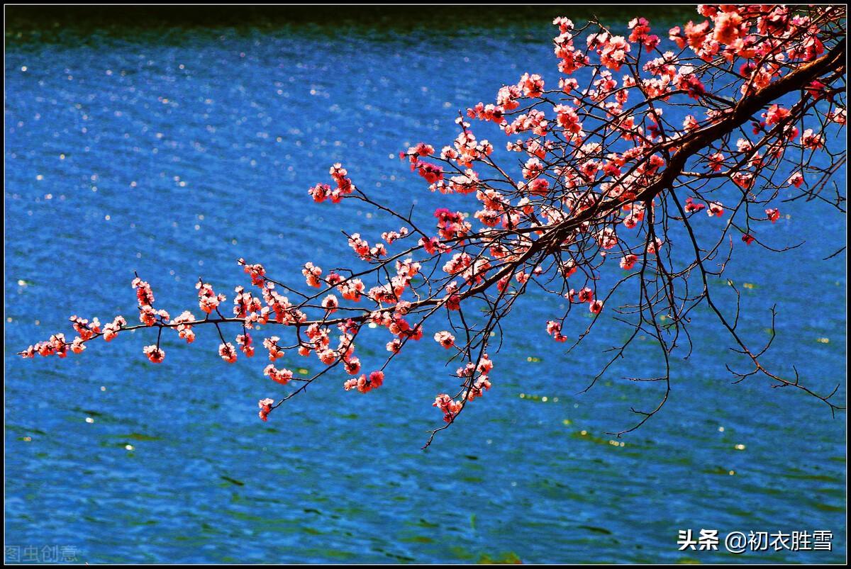 仲春春雨桃花诗词五首（二月桃花春雨里，夹岸桃花蘸水开）