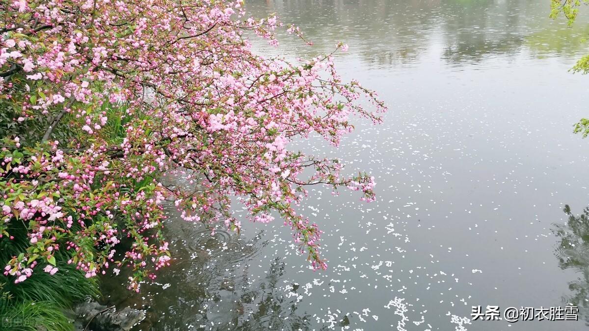 桃花诗词古句大全（仲春桃花古诗七首）