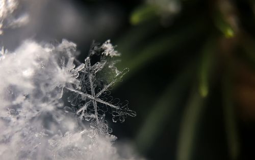 劳动节的趣事小学作文（《校园的趣事》）