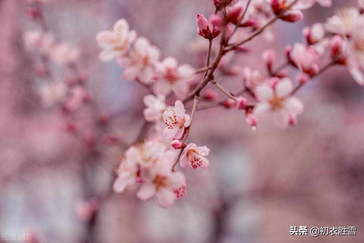 早春唯美古诗大全（晏几道早春情词两首）