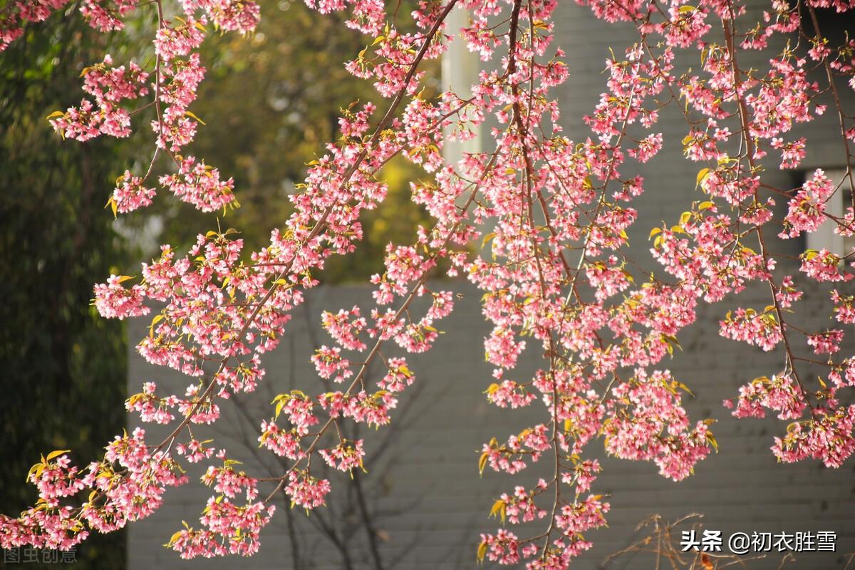 早春唯美古诗大全（晏几道早春情词两首）