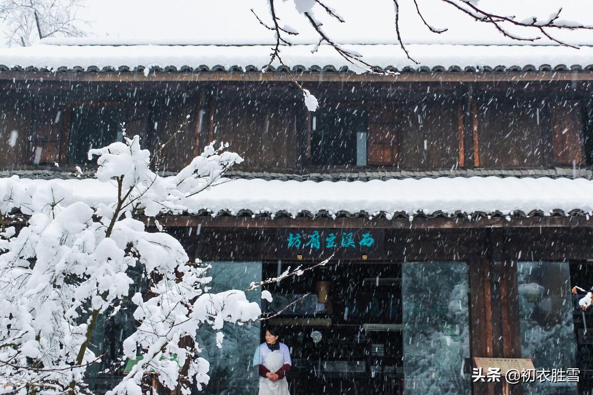 春雪满空来，触处似花开（唯美春雪唐诗七首）