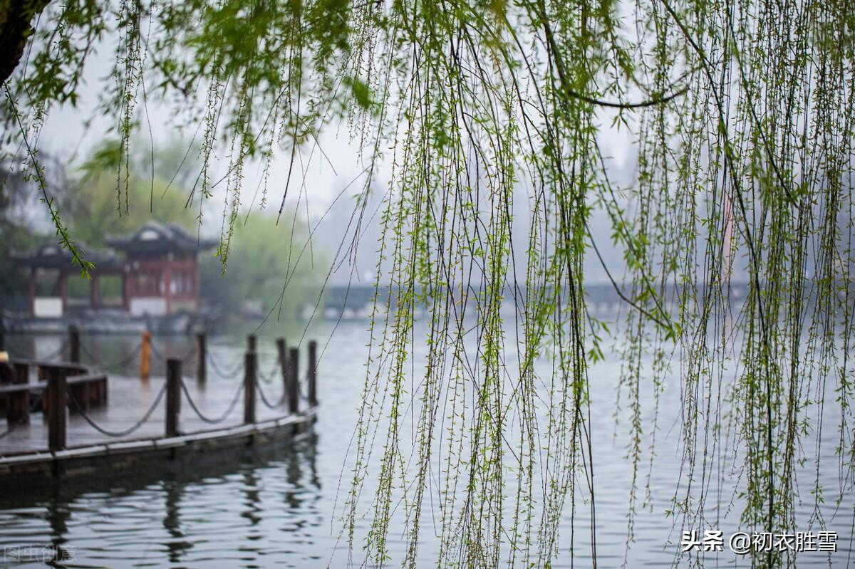 春还春节美，春日春风过（​唯美春节古诗三首）