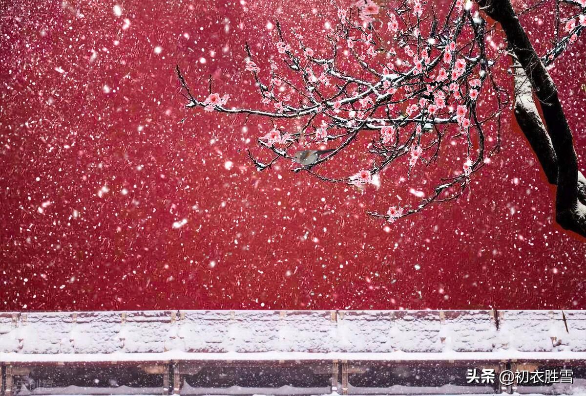 梅花腊雪唯美古诗（报春梅花诗词六则）