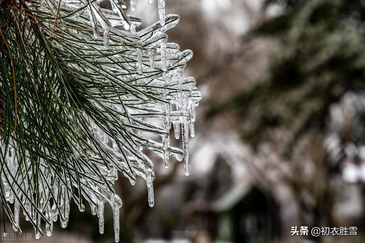 岁寒三友古诗七首（合成松竹梅三友，历尽冰霜雪一身）