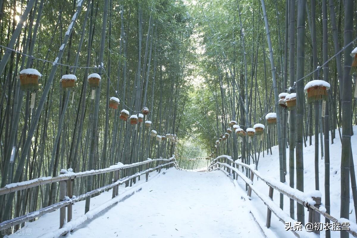 岁寒三友古诗七首（合成松竹梅三友，历尽冰霜雪一身）