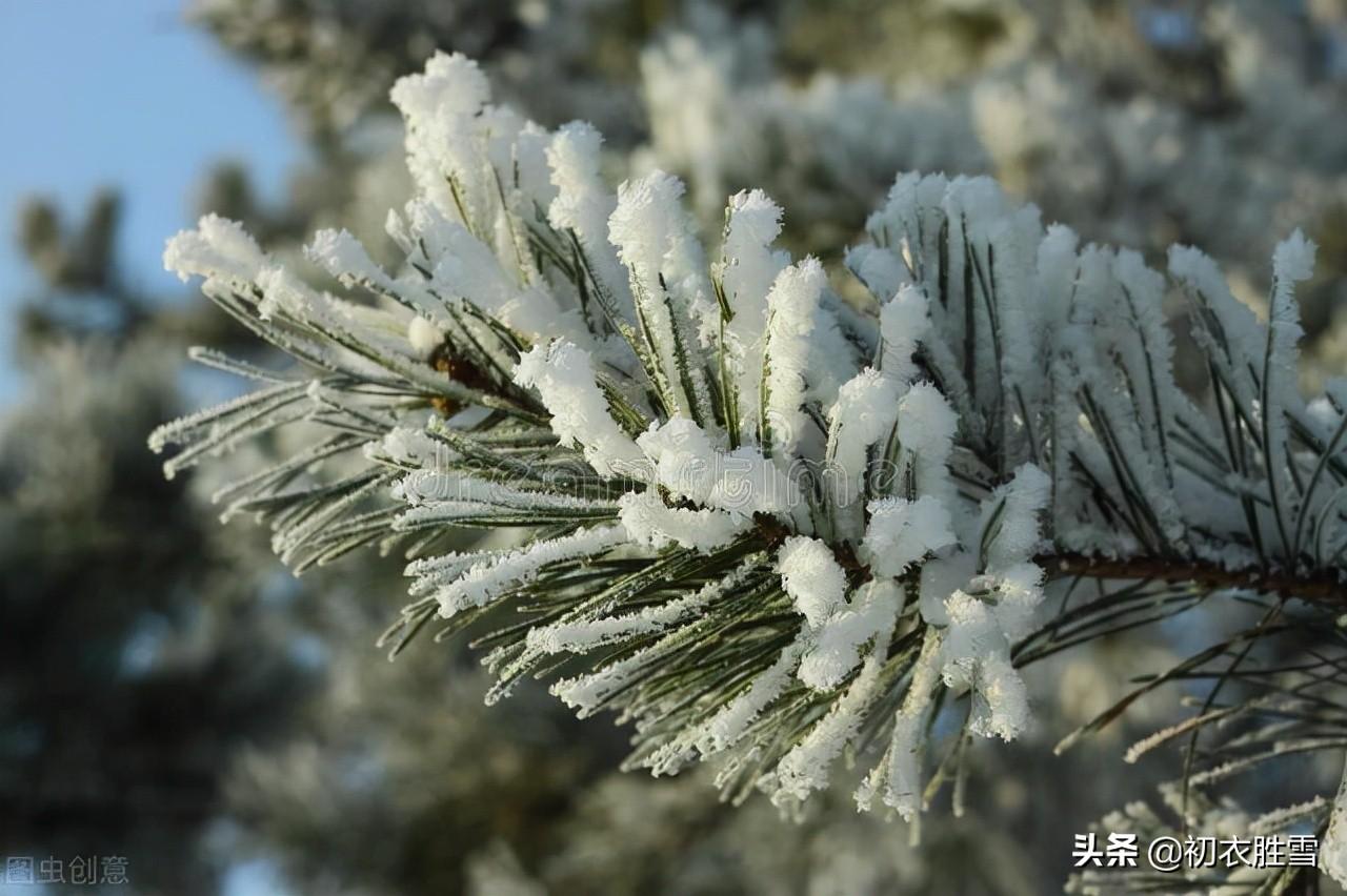 大寒经典诗词大全（大寒节气古诗六首）