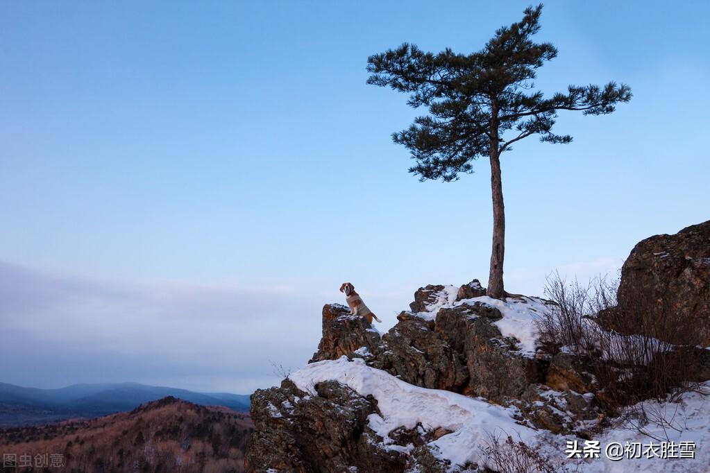 冬至爱国古诗两首（江山乏小草，霜雪见孤松）