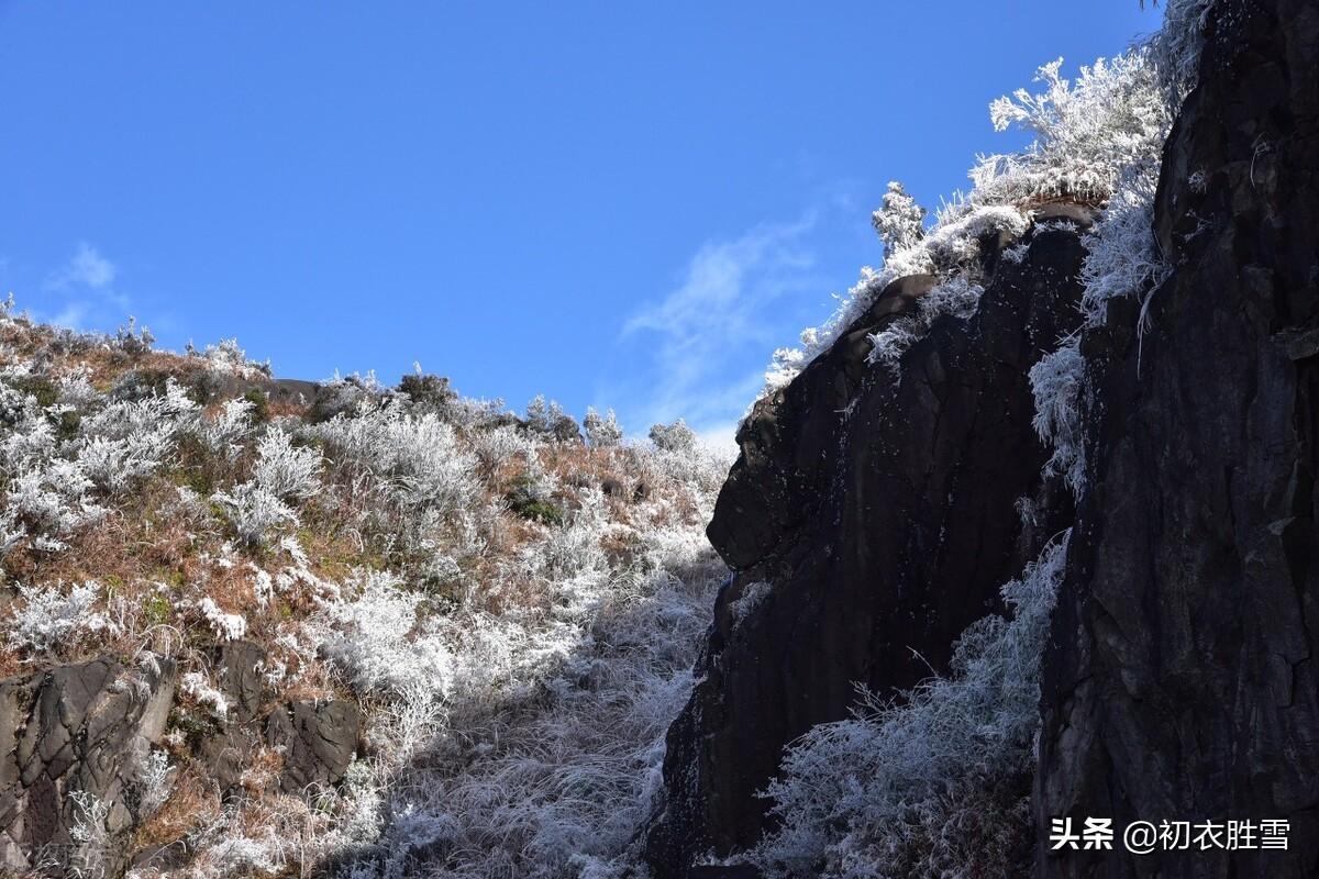 冬至爱国古诗两首（江山乏小草，霜雪见孤松）