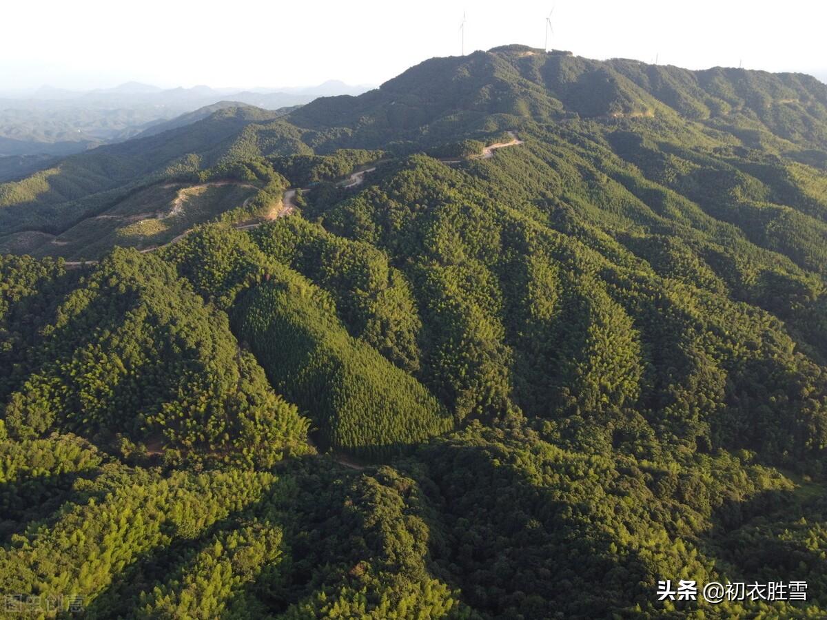 冬至爱国古诗两首（江山乏小草，霜雪见孤松）