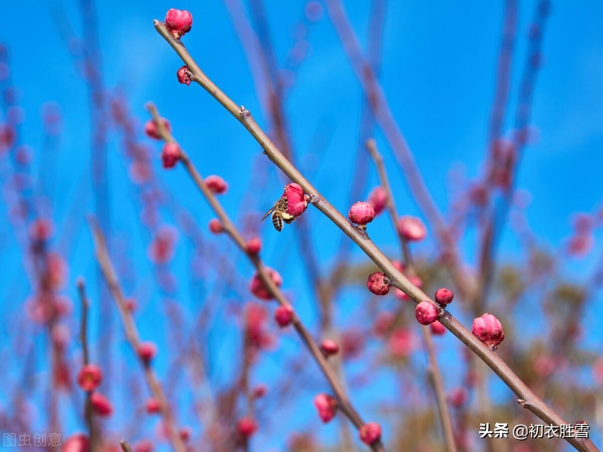 ​冬至节气哲理诗词六首赏析（今年初尽处，明日未来时）