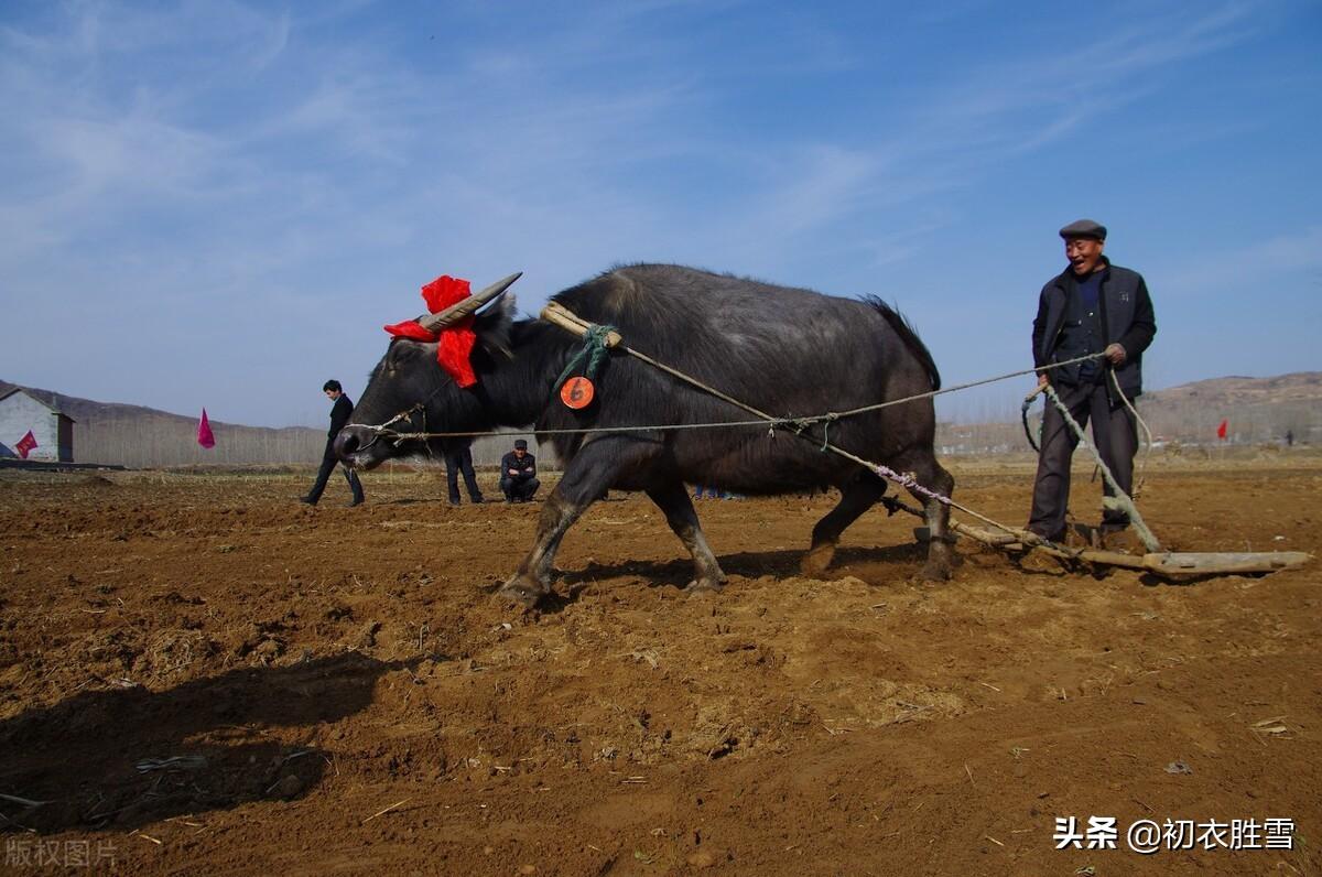 仲冬冬耕古诗六首（乡邻无事冬耕罢，独倚篱门数过牛）