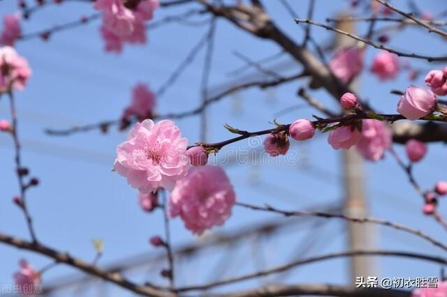 大雪节气瑞雪诗六首鉴赏（飞雪正应大雪节，腊前三白遍民田）