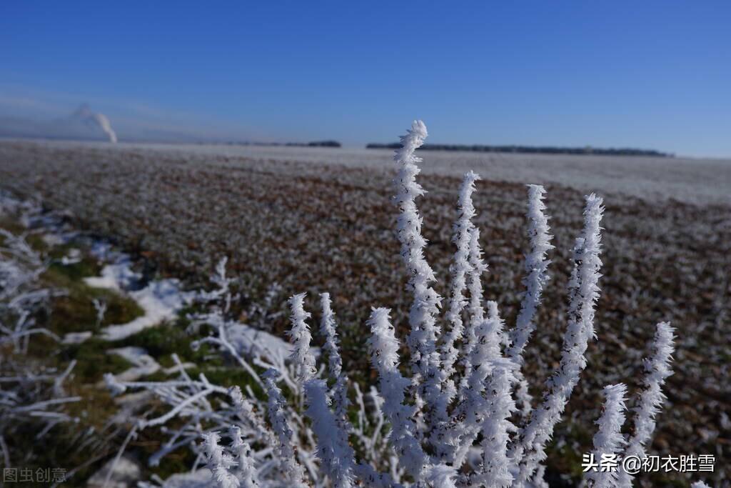 赏读待雪古诗五首赏析（欲把诗催雪，待取玉花看）