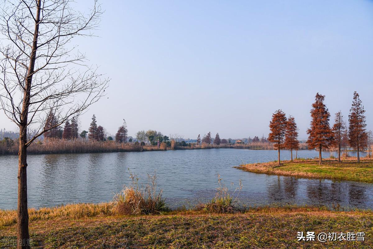 红叶已飘千万点，菊花犹著郁金衣（初冬古诗经典五首）