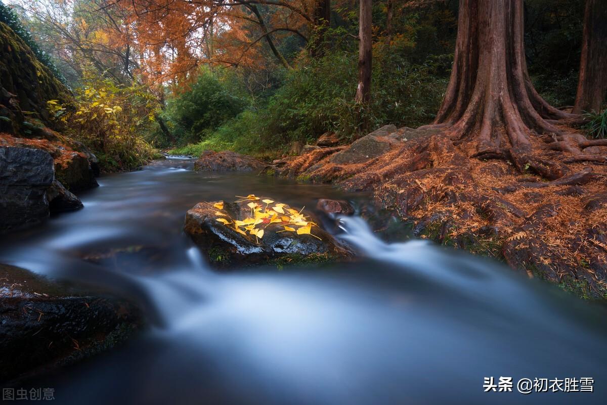 秋天思乡经典诗词（晚秋秋水诗词五首鉴赏）