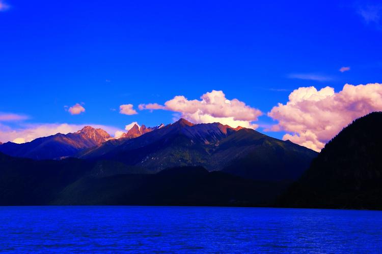 那些夏天的初中作文（《夏天的风景》）