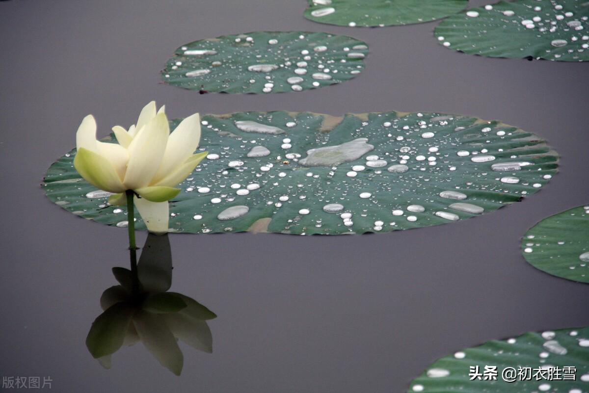 七夕经典古诗词（风雨七夕经典诗词）