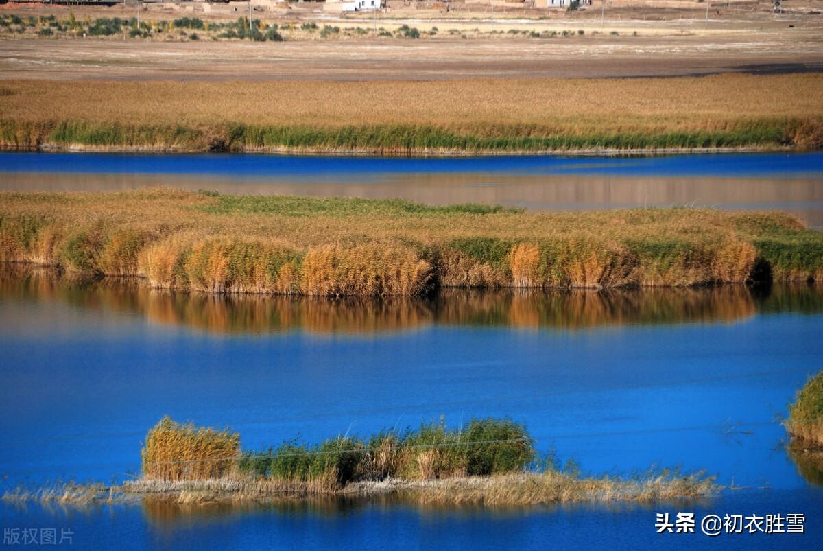 霜降节气古诗四首（霜降水痕收，浅碧鳞鳞露远洲）