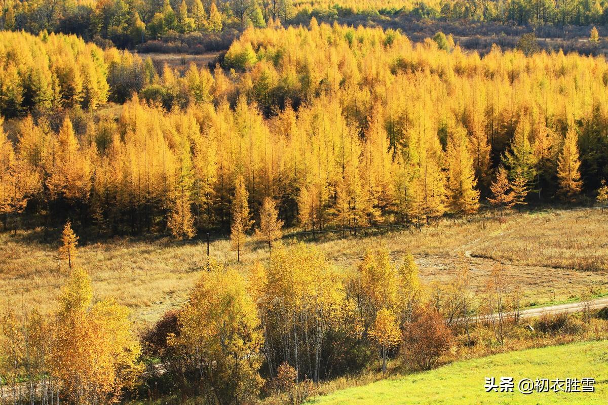 霜降节气古诗句六首（秋深山有骨，霜降水无痕）