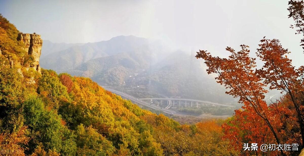 九月晚秋古诗词五首（见底高秋水，开怀万里天）