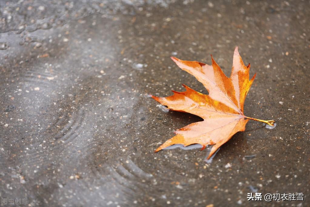 初秋秋凉唯美诗词五首（夜来秋雨后，秋气飒然新）