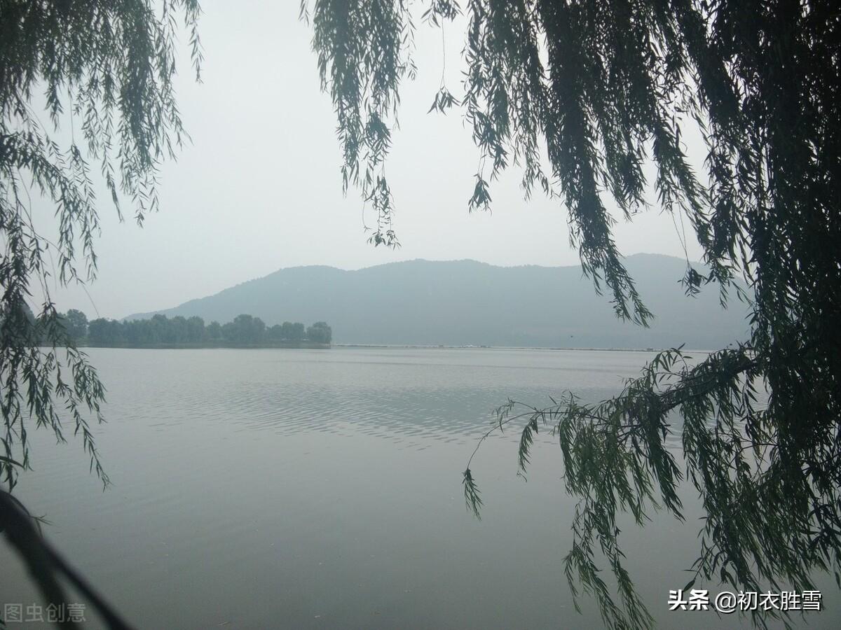 早秋烟雨古诗六首鉴赏（烟中长有万丝飞，飞去飞来烟雨秋）