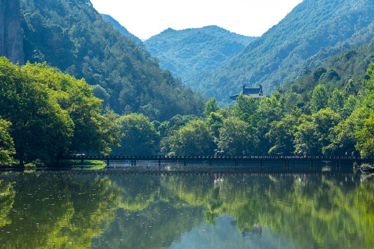 夏天的故事初中作文（《夏天的风景》）