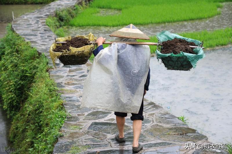 梅雨诗词五首赏析（佳节连梅雨，梅雨日长时）