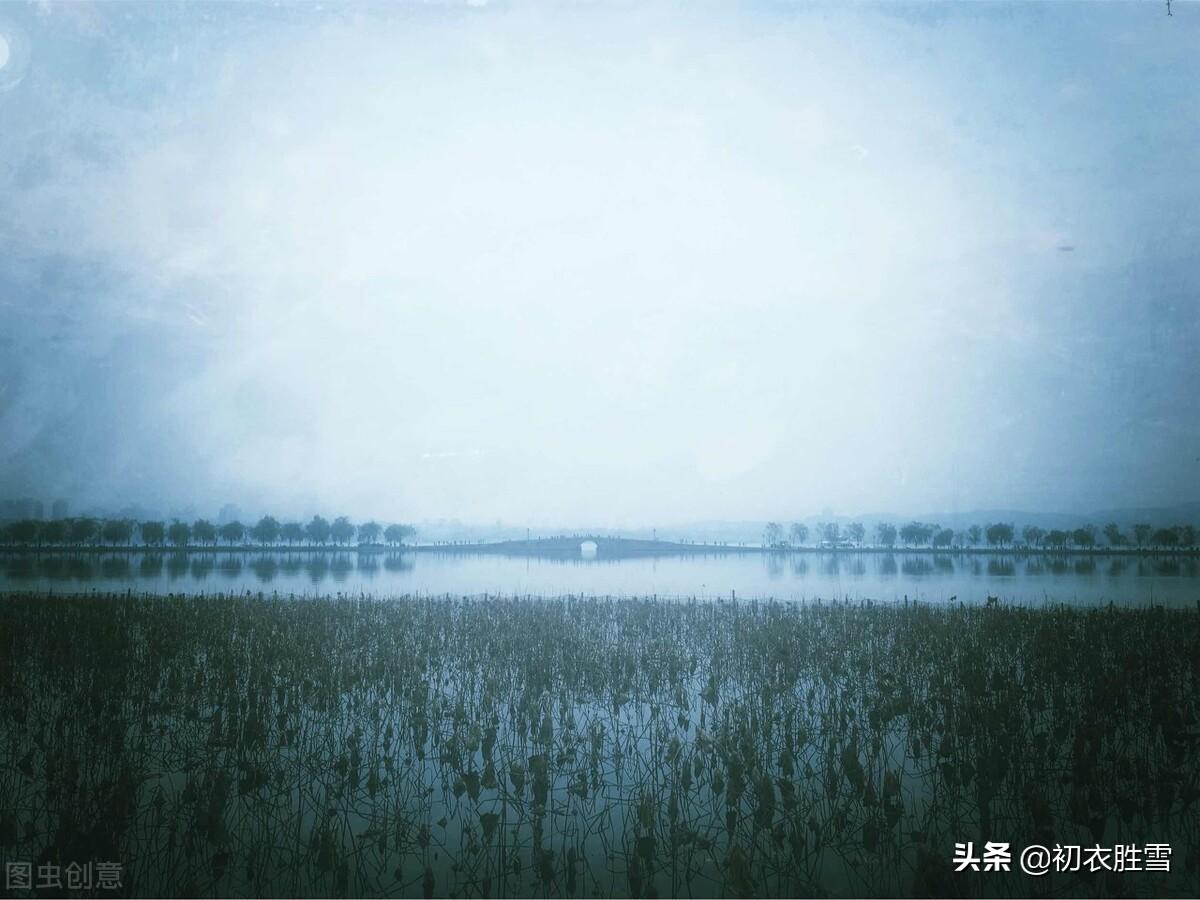 梅雨诗词五首赏析（佳节连梅雨，梅雨日长时）