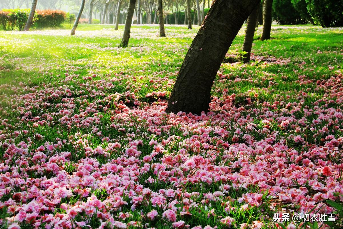 李煜仲春春草经典古诗（离恨恰如春草，更行更远还生）