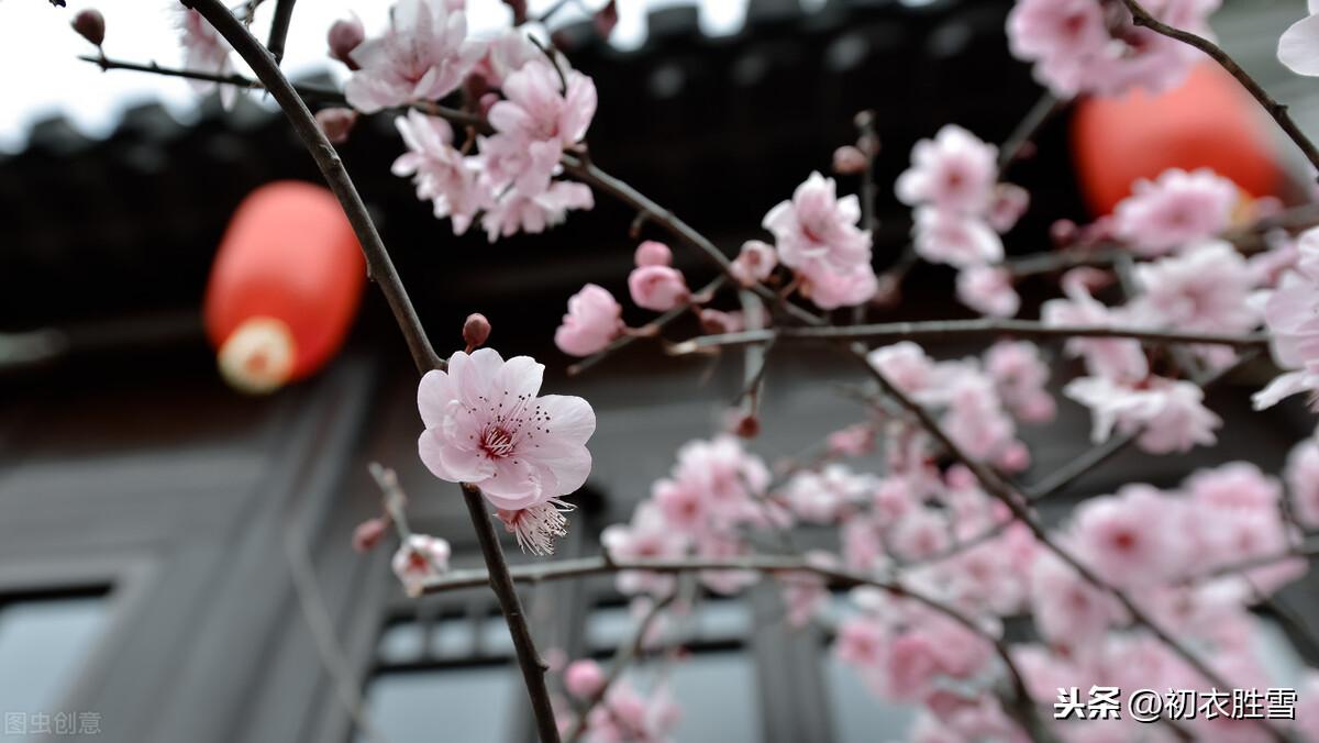 新年新春祝福诗词五首赏析（人心新岁月，春意旧乾坤）