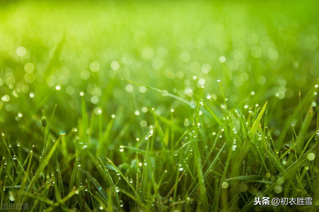 二十四节气雨水古诗三首（春雨细如丝，万物尽熙熙）