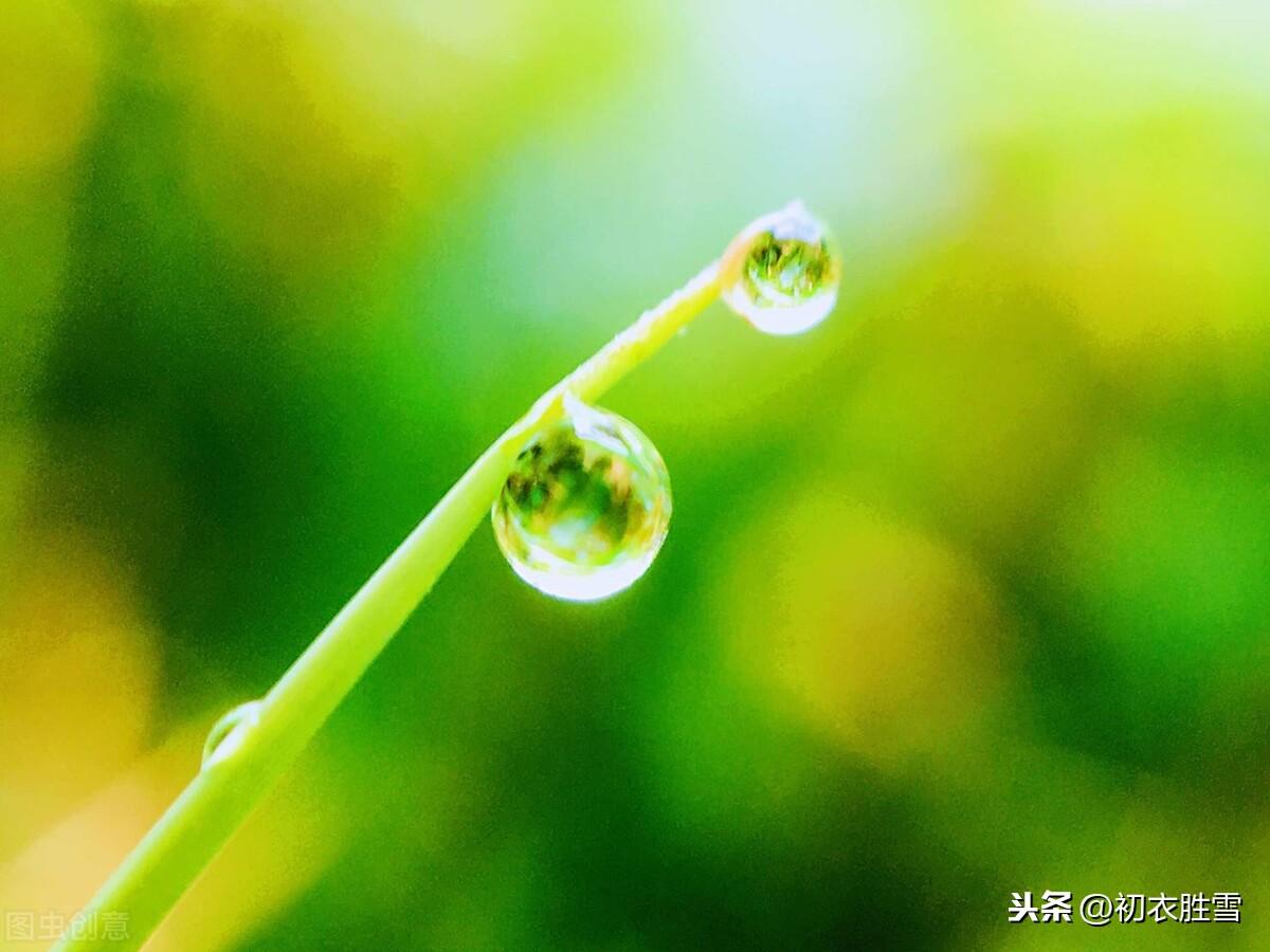 二十四节气雨水古诗三首（春雨细如丝，万物尽熙熙）