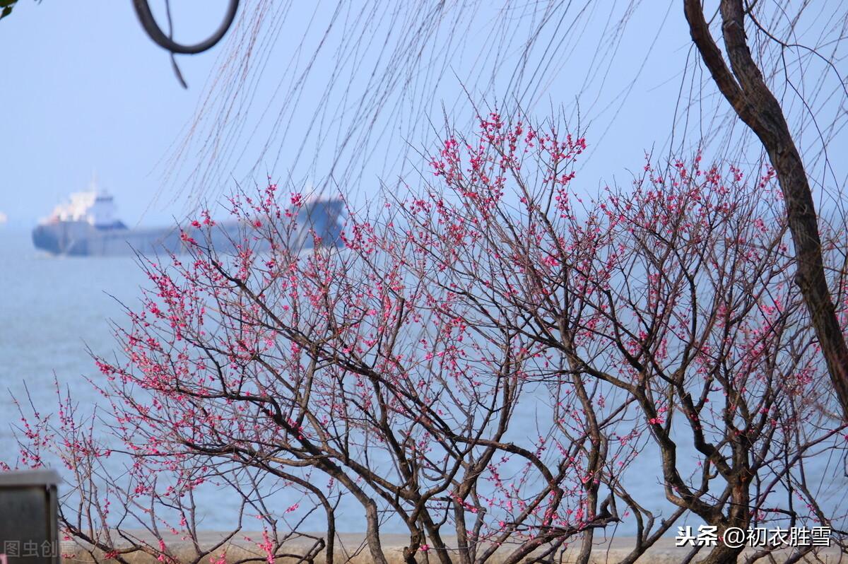 白居易早春四首古诗词鉴赏（池色溶溶蓝染水，花光焰焰火烧春）