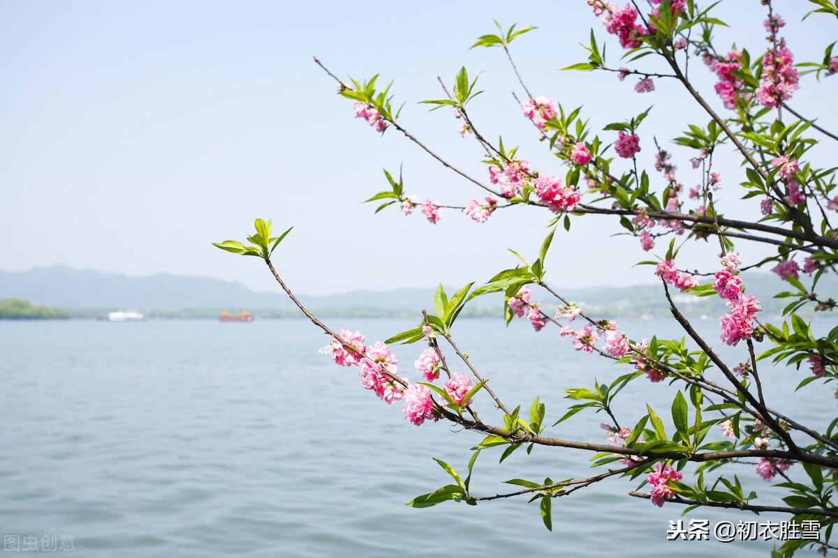 白居易早春四首古诗词鉴赏（池色溶溶蓝染水，花光焰焰火烧春）