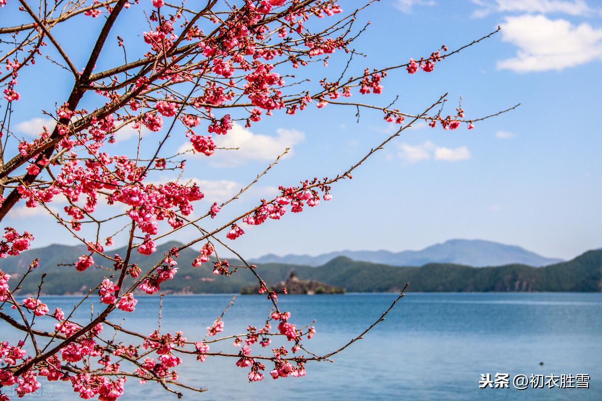 白居易早春四首古诗词鉴赏（池色溶溶蓝染水，花光焰焰火烧春）