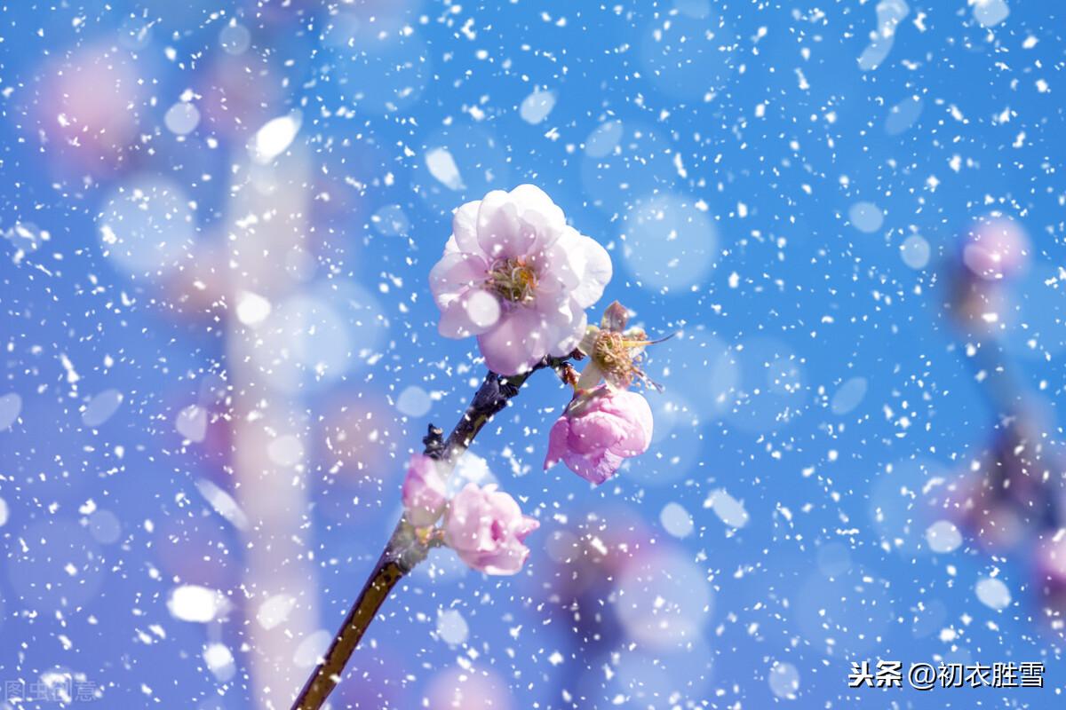 咏雪经典诗词有哪些（纳兰性德两首咏雪诗词）