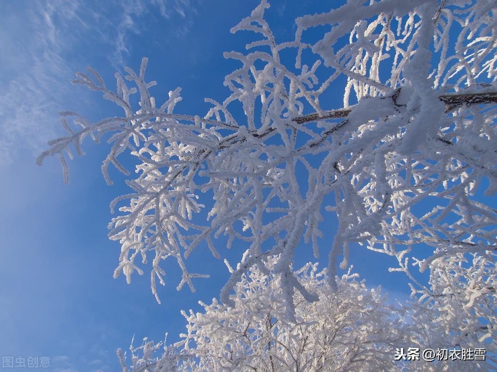 咏雪经典诗词有哪些（纳兰性德两首咏雪诗词）